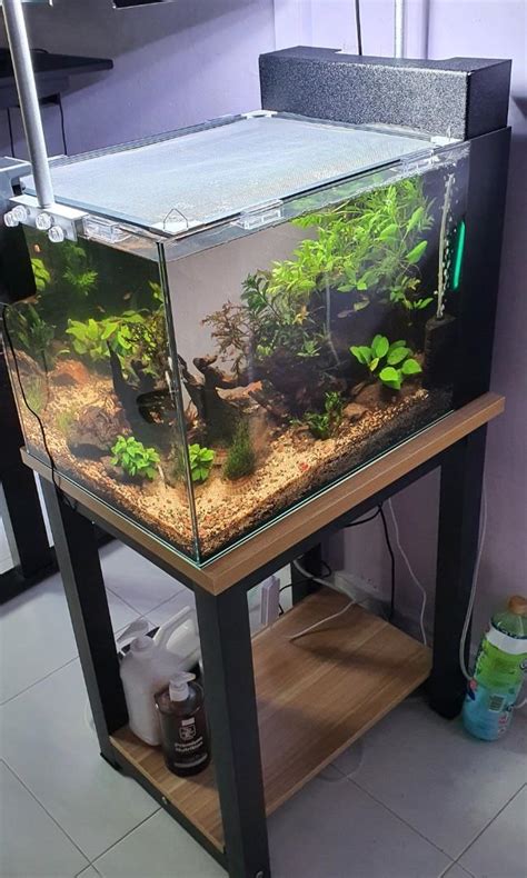 peninsula fish tank|waterbox peninsula mini 25 stand.